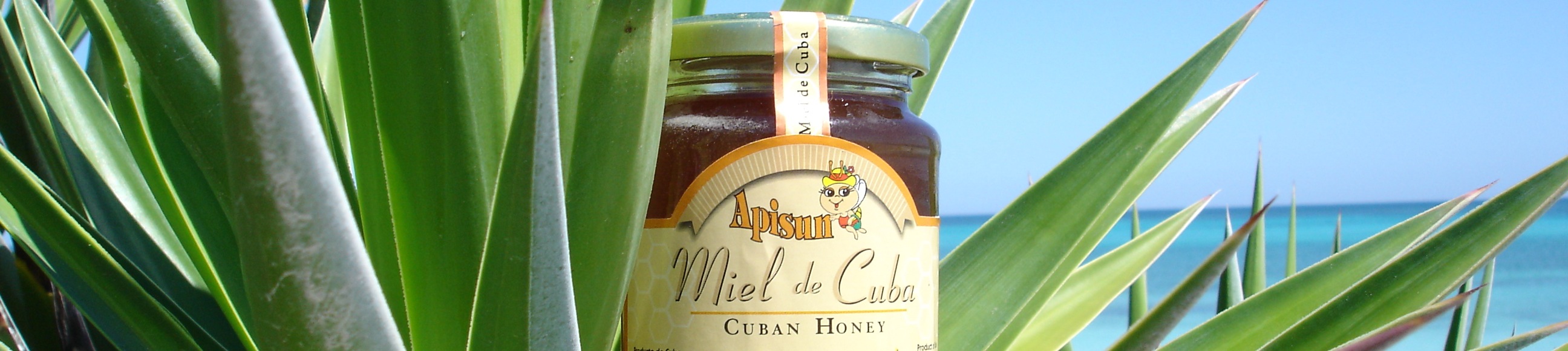 Cuban honey.JPG