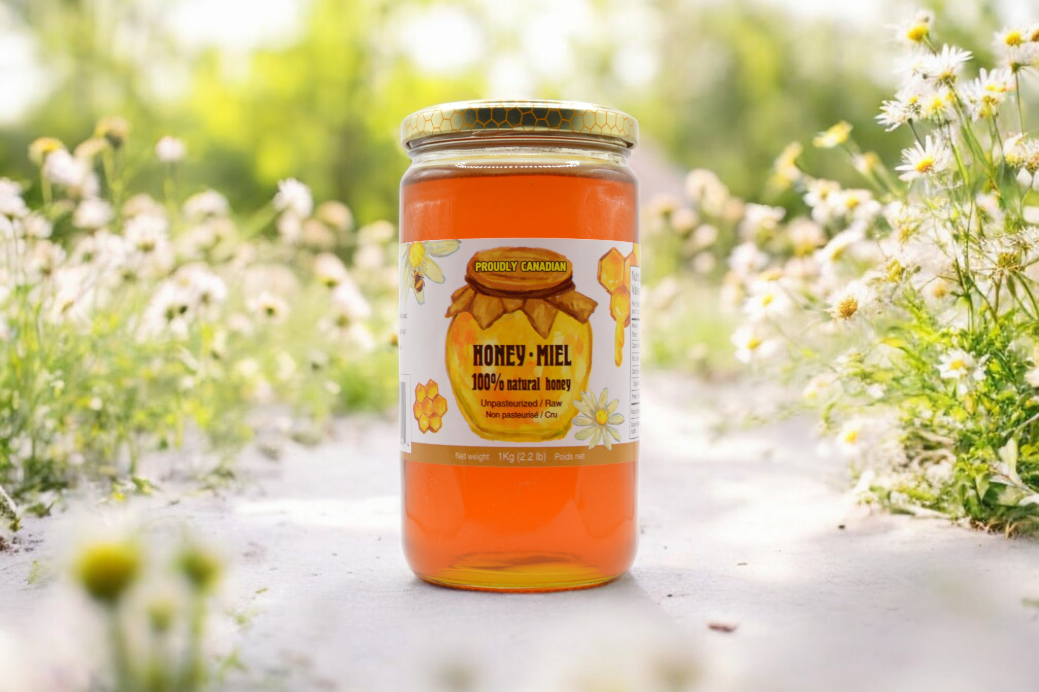 Photoroom-20250119_184029