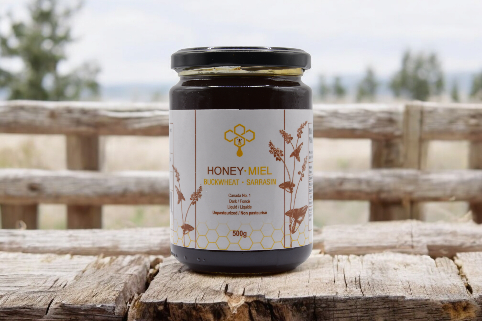 Photoroom-20250119_190420