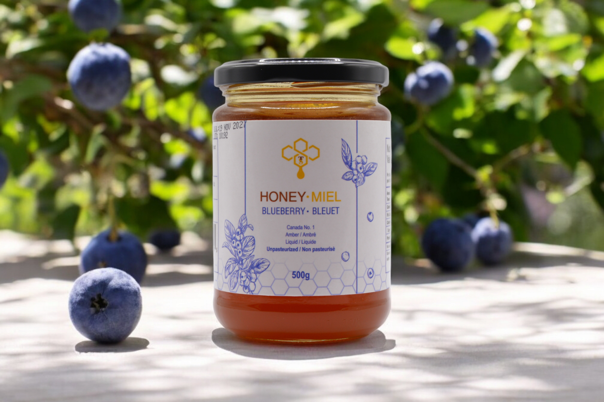 Photoroom-20250119_191515