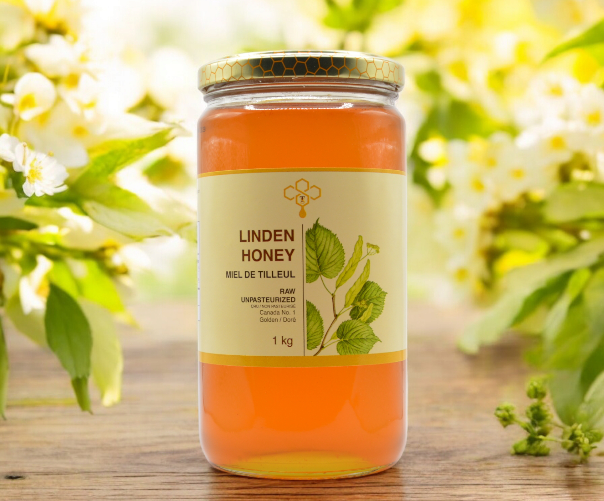 Photoroom-20250130_205740